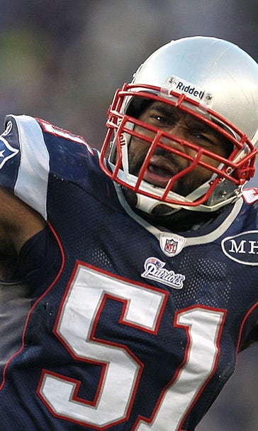 Ex-Patriots LB Jerod Mayo has become an 'office linebacker' with a regular job